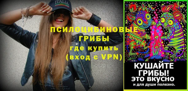 марки lsd Богданович