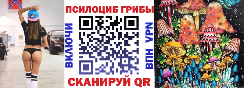 Галлюциногенные грибы GOLDEN TEACHER  продажа наркотиков  Михайлов 